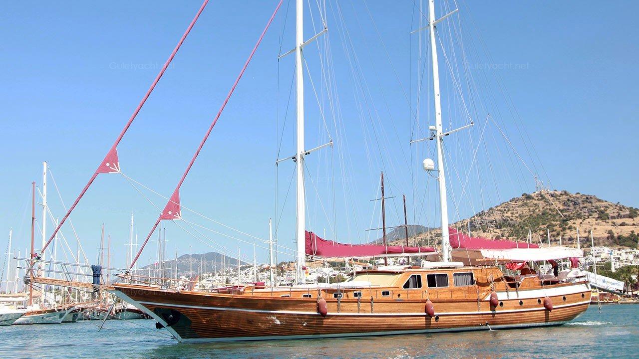 DRD-6
