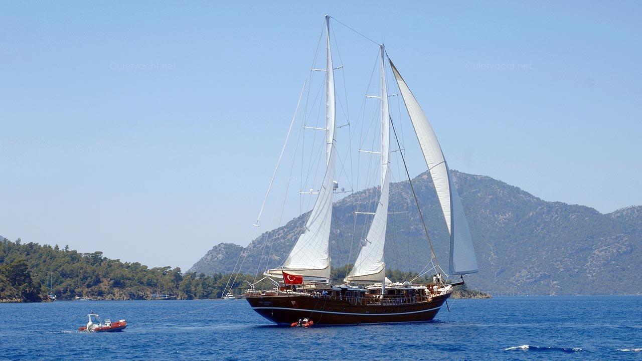 MAM-6
