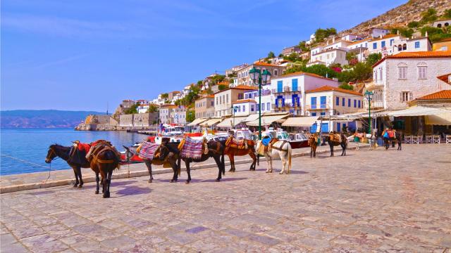 Donkeys In Hydra Island