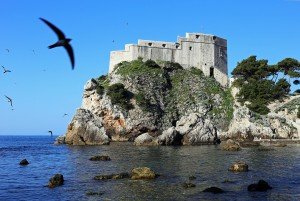Dubrovnik Birds