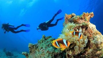 Diving Antalya Kas
