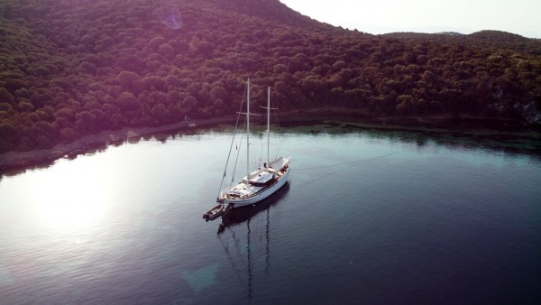 Gulet Beyaz Lale