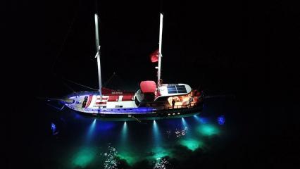 Gulet Blu Dream