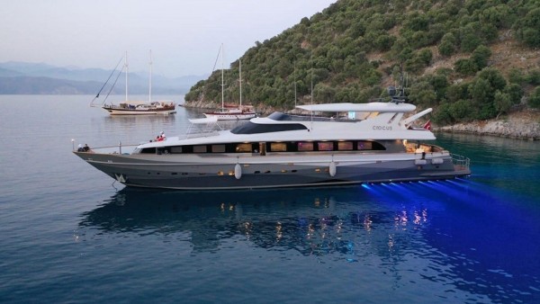 Motoryacht Crocus