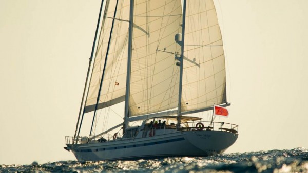 Segelyacht Free Wings