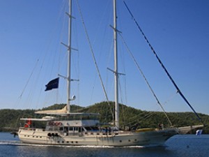 AER-11