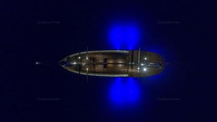 ARA-4