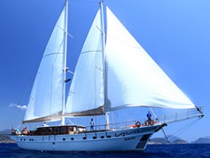 CE3-6