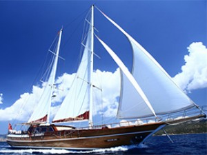 DRD-6