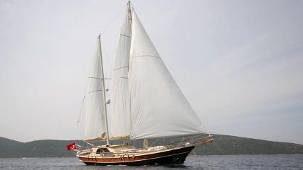 ENS-4