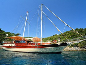 HAY-4