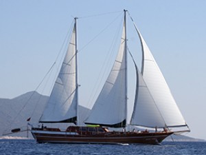 KA3-6