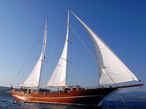 MAM-6
