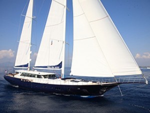 PEM-6