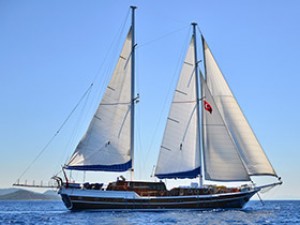 SU9-8