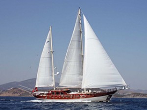 WHE-3