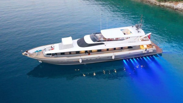 Motoryacht Crocus