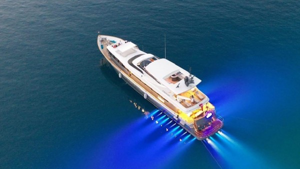Motoryacht Crocus