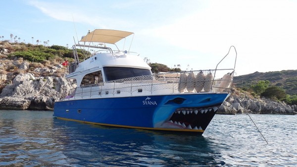 Motoryacht Syana