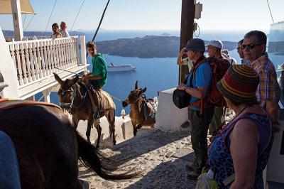 Santorini Donkeys
